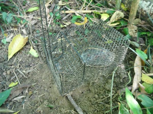 必一运动bsport体育