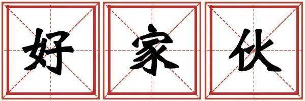 ‘必一运动’《2020年十大网络术语》和山东口岸的“那些故事”(图15)