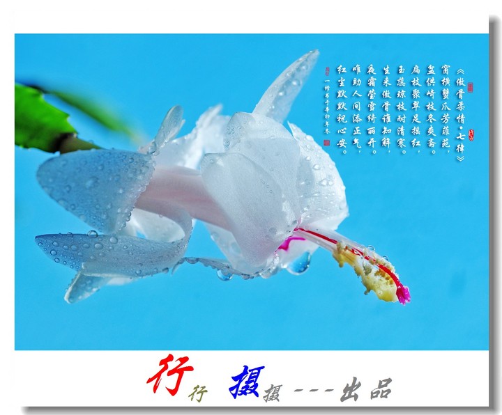 必一运动官网-增注“儿童禁用”是一首“迟来的爱”(图2) 必一运动