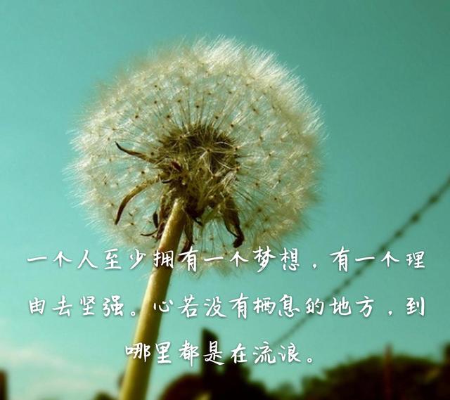 网络热词年年有,今天特别多,社会性死亡我裂开了_bsports必一体育(图9) 必一运动bsport体育