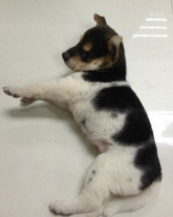 矿泉水瓶里灌茅台,提防人前人后两张皮-bsports必一体育(图3) 必一运动bsport体育