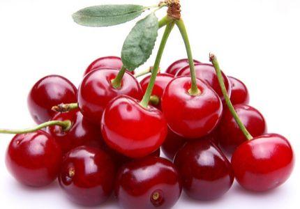 必一运动_寇振海《王牌对王牌》惊喜助阵 “黑豹子”挥鞭引发回忆杀(图2) 必一运动bsport体育