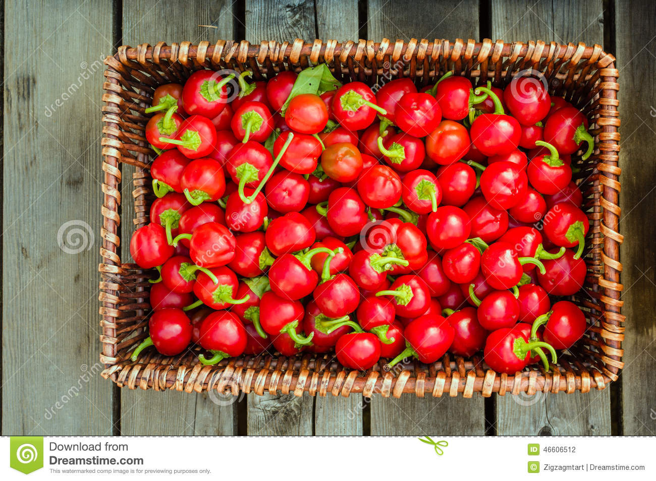 bsports必一体育_囚犯医生还有下一部吗 李宰俊死了这就是大结局(图2) bsports必一体育