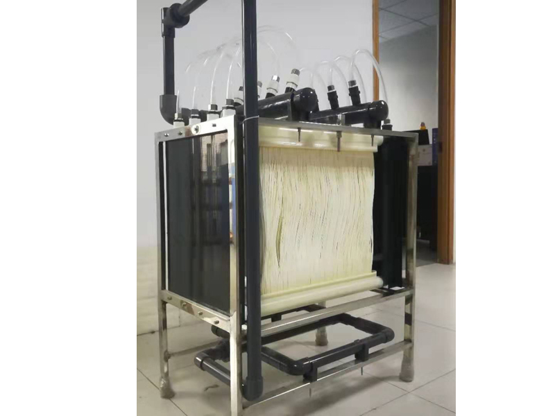 必一运动|提高生育率是新时代中国人口发展的新任务(图2) bsports必一体育