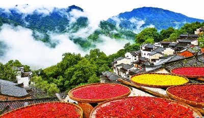 bsports必一体育_同是演第一美人 陆雪琪被骂,锦觅却被赞了(图3) bsports必一体育