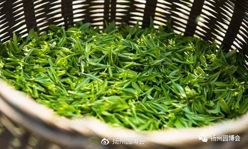 必一运动bsport体育