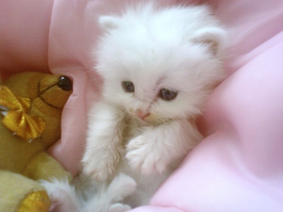 必一运动bsport体育