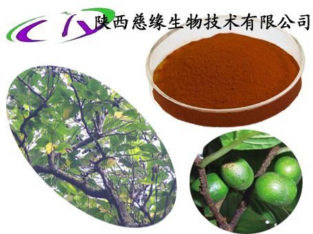 bsports必一体育