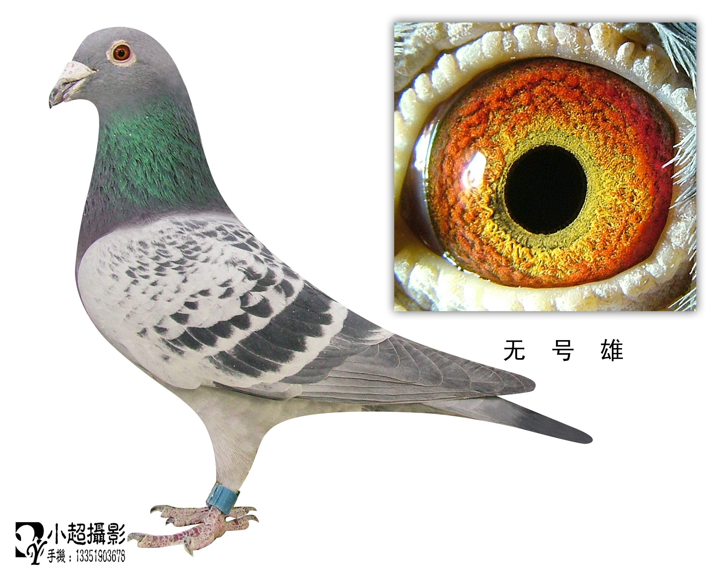 bsports必一体育