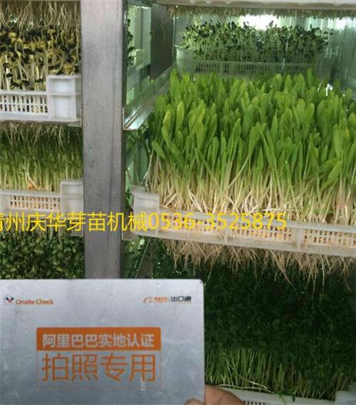 月饼创新,安全比口味更重要【必一运动官网】(图1) 必一运动bsport体育